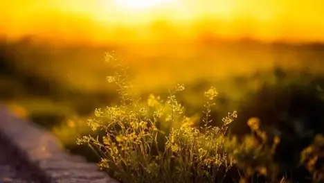 默契球风波再起：瑞士轮BP阶段引发电子竞技赛事公平性质疑